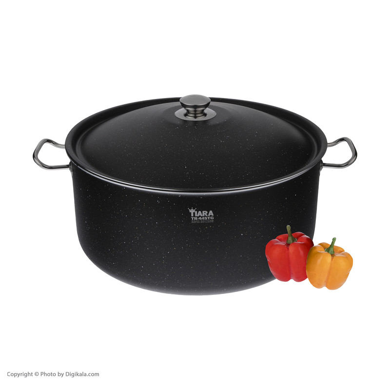 قابلمه تیارا مدل TR-44PTG سایز 44